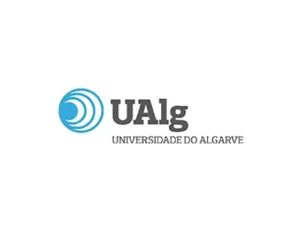 Research Scholarships