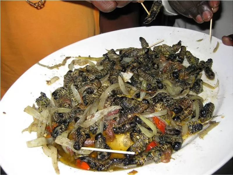 Gastronomia angolana